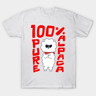 100% Pure Alpaca T-Shirt